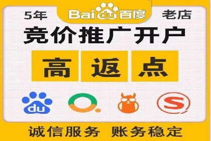 案例研究：百度竞价广告投放效果